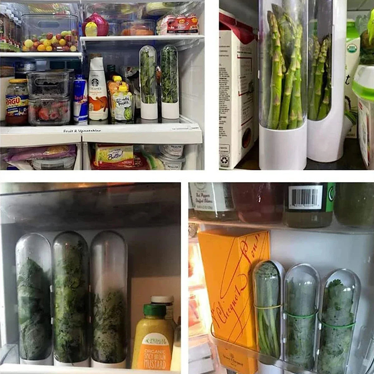 Herb Saver Storage Container - Fresh Herb Keeper and Vanilla Vegetables Preservation Bottle for Refrigerator - Ideal Kitchen Gadgets for Freshness Preservation